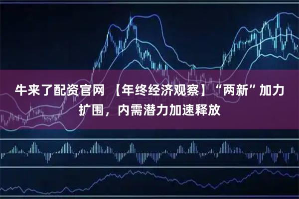 牛来了配资官网 【年终经济观察】“两新”加力扩围，内需潜力加速释放