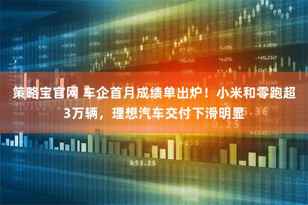 策略宝官网 车企首月成绩单出炉！小米和零跑超3万辆，理想汽车交付下滑明显